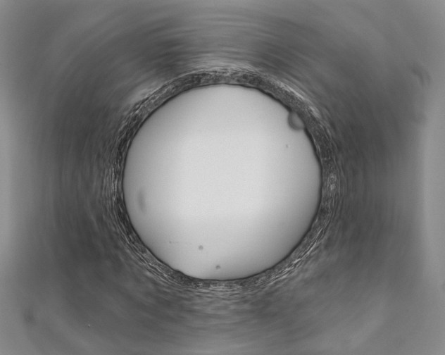 X0000111360869200907100954