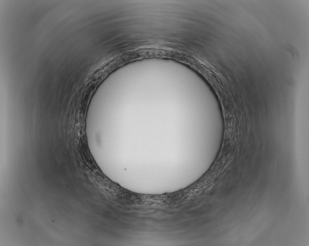 X0000111360870200907100954