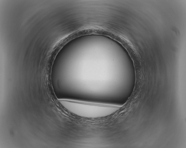 X0000111360872200907100954