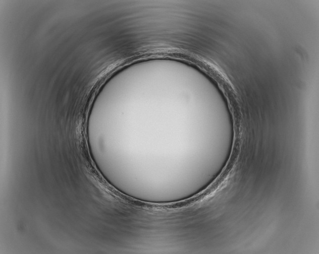 X0000111360873200907100954