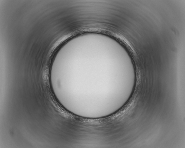 X0000111360874200907100954