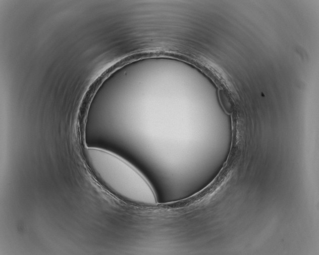 X0000111360876200907100954
