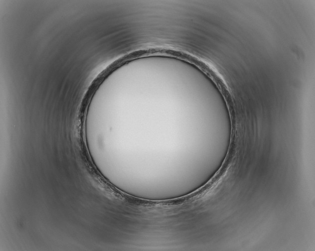 X0000111360879200907100954