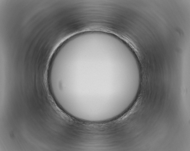 X0000111360880200907100954