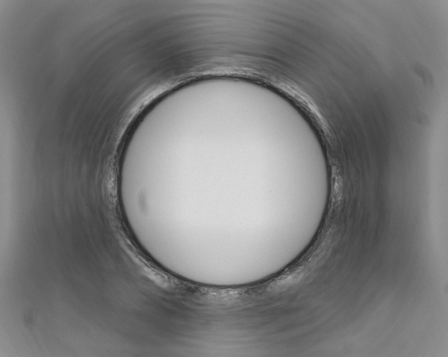 X0000111360882200907100954