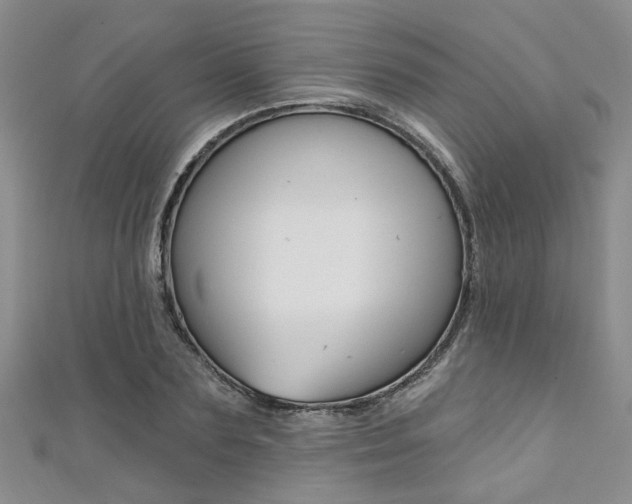 X0000111360883200907100954