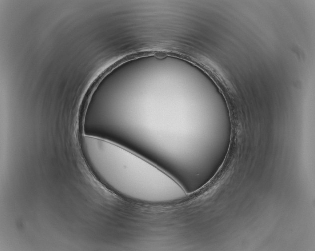 X0000111360884200907100954