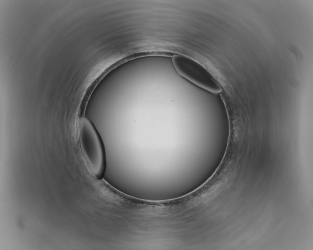 X0000111360885200907100954