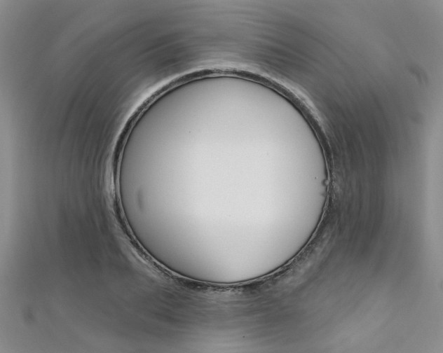 X0000111360887200907100954