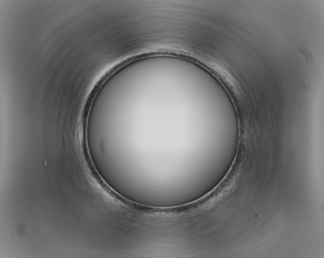 X0000111360888200907100954