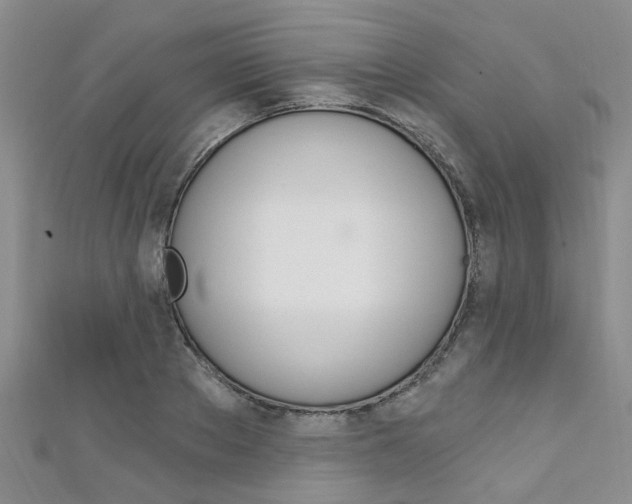 X0000111360889200907100954