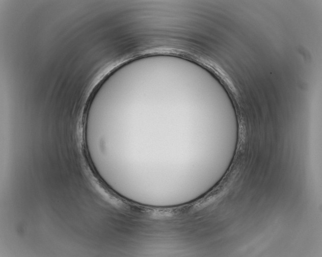 X0000111360890200907100954