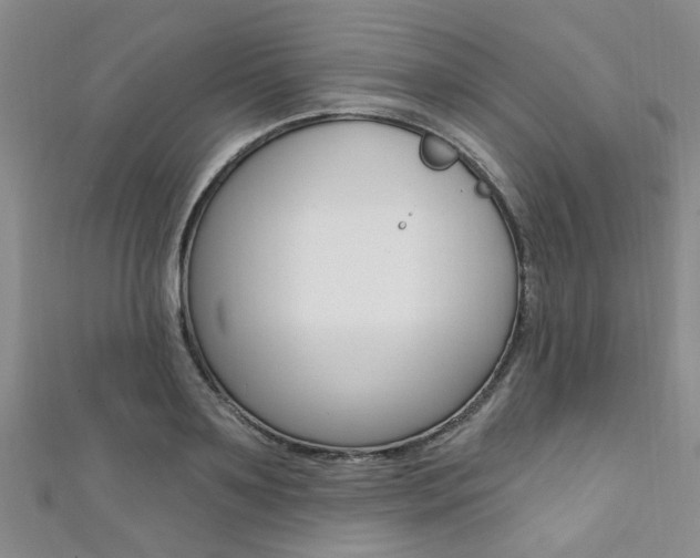 X0000111360891200907100954