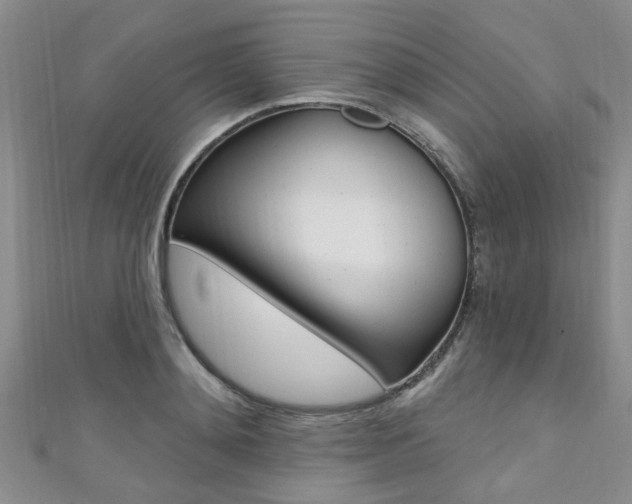 X0000111360892200907100954