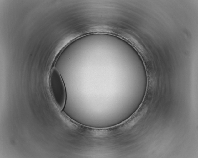X0000111360893200907100954