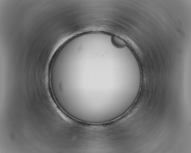 X0000111360894200907100954
