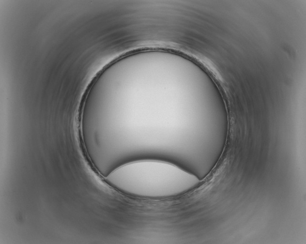 X0000111360895200907100954