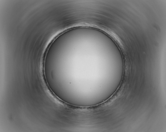 X0000111360896200907100954