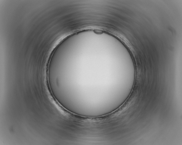 X0000111360898200907100954