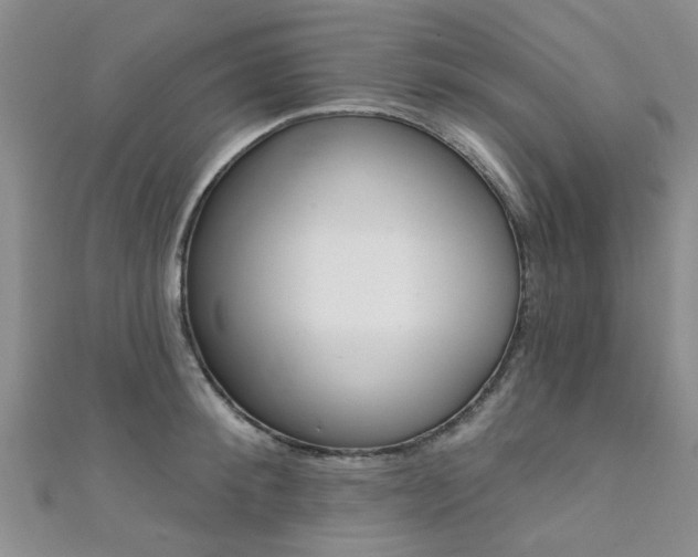 X0000111360900200907100954