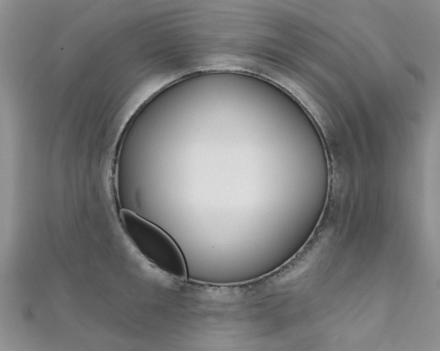 X0000111360901200907100954