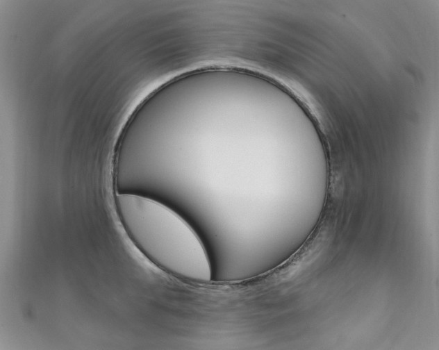 X0000111360903200907100954