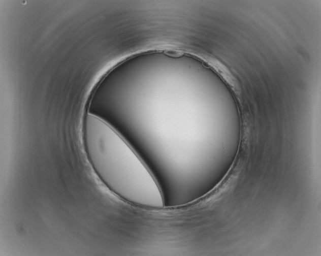 X0000111360904200907100954