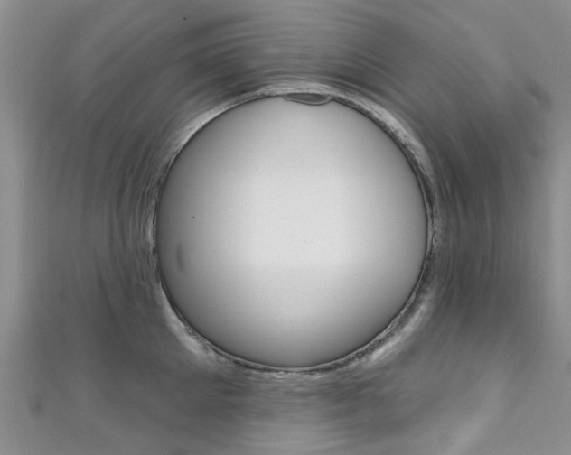 X0000111360905200907100953