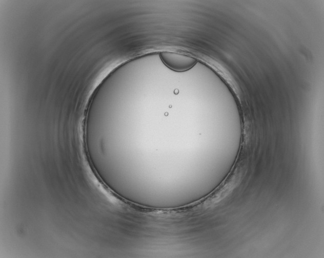 X0000111360906200907100953