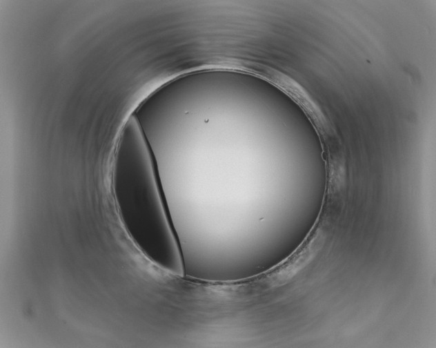 X0000111360908200907100953