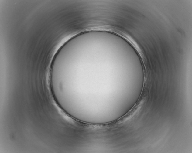 X0000111360909200907100953