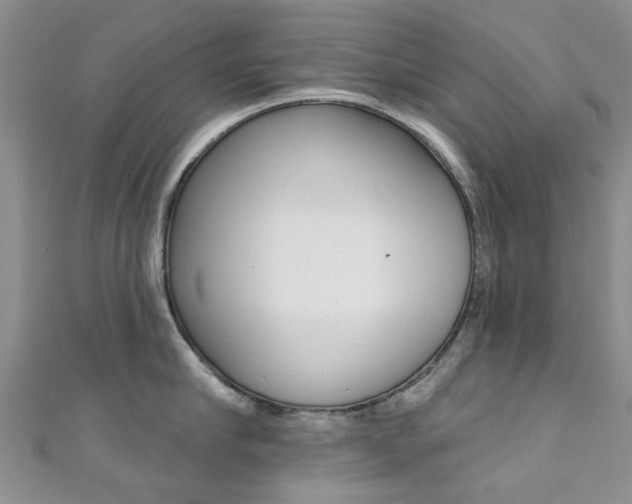 X0000111360910200907100953