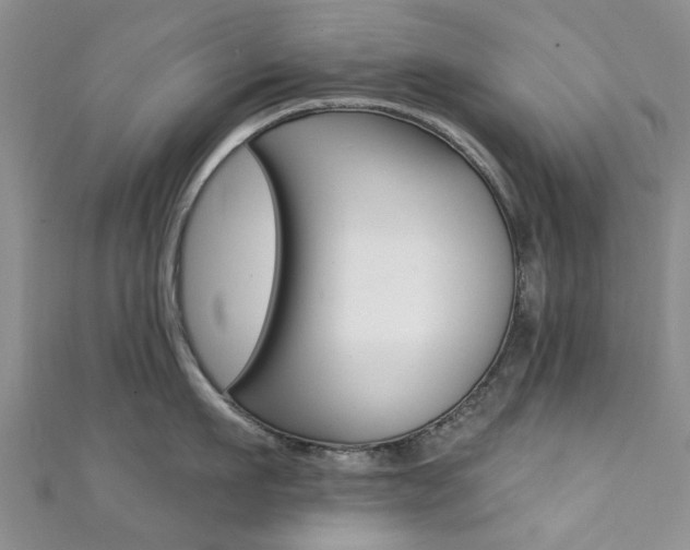 X0000111360911200907100953