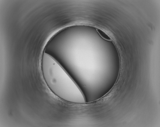 X0000111360912200907100953