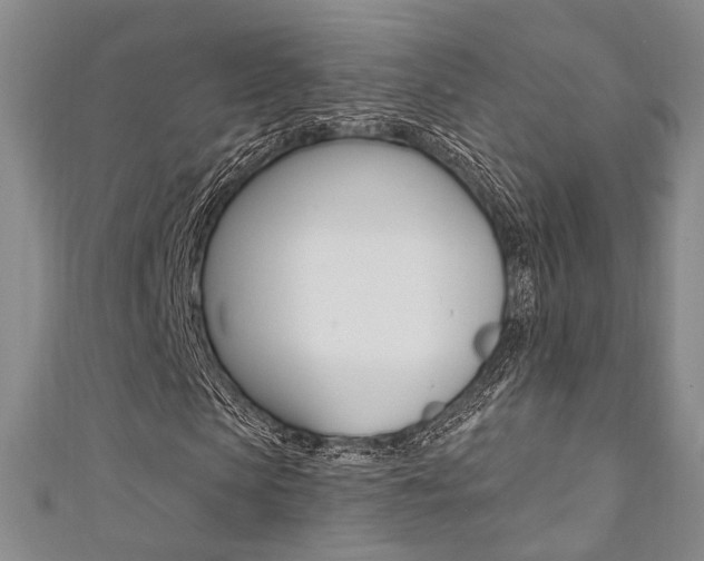 X0000111360913200907100953