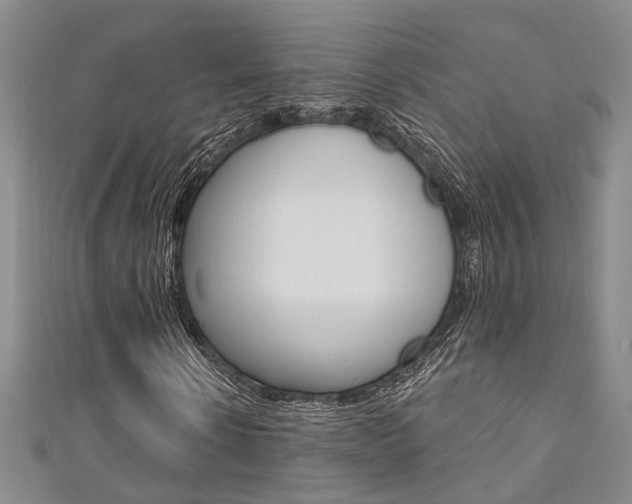 X0000111360914200907100953