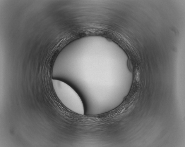 X0000111360915200907100953