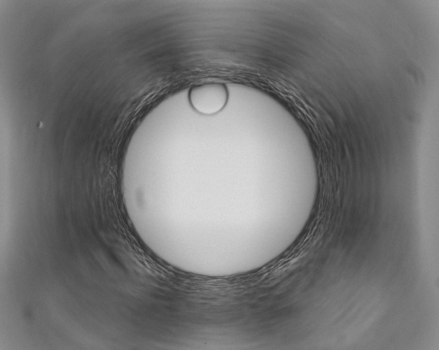 X0000111360916200907100953