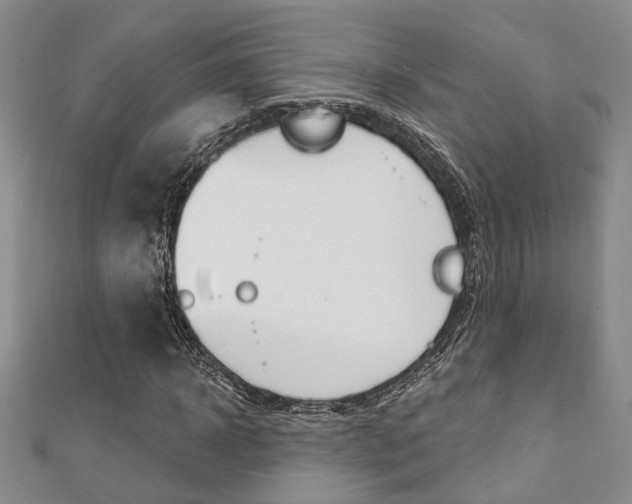 X0000111360918200907100953