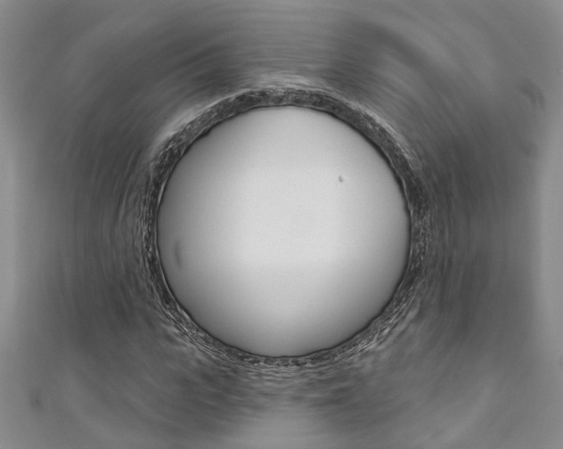 X0000111360919200907100953