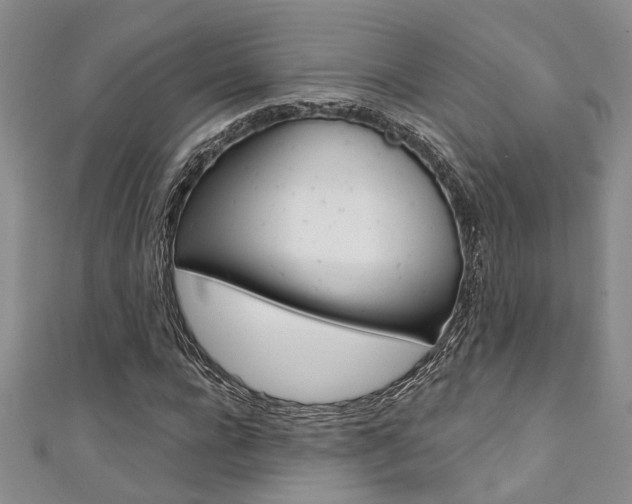 X0000111360920200907100953
