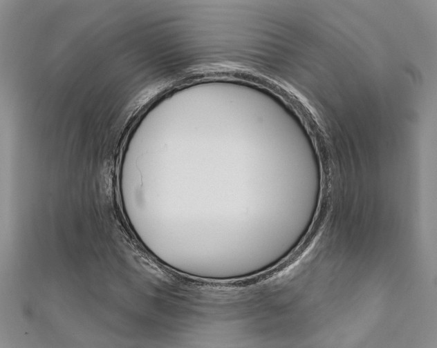 X0000111360921200907100953
