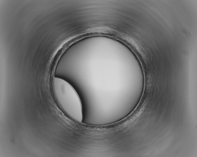 X0000111360923200907100953