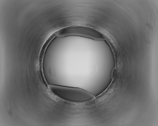 X0000111360924200907100953