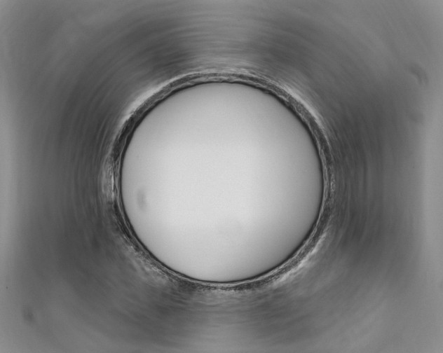X0000111360925200907100953