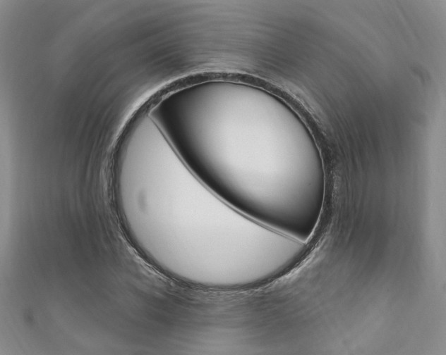X0000111360926200907100953