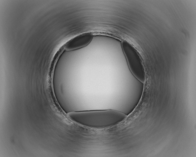 X0000111360928200907100953
