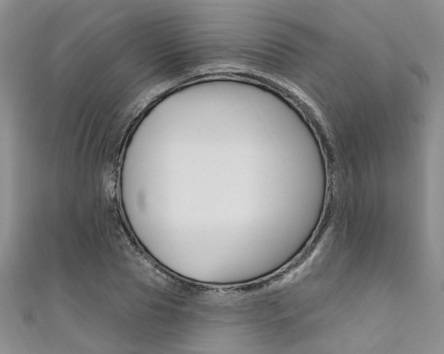 X0000111360929200907100953