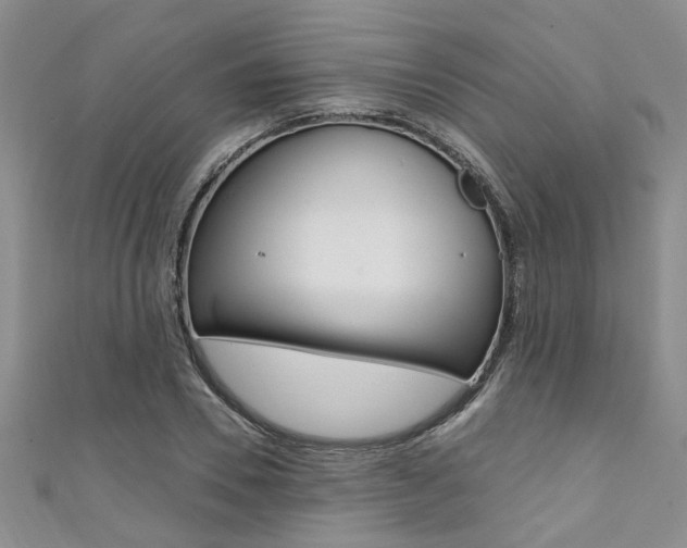 X0000111360930200907100953