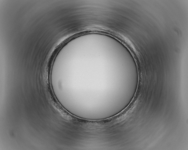 X0000111360931200907100953